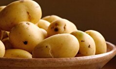 سیب زمینی کمک کننده برای تنظیم کلسترول