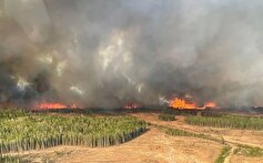 آتش‌سوزی جنگلی در کانادا و تخلیه شبانه هزاران نفر
