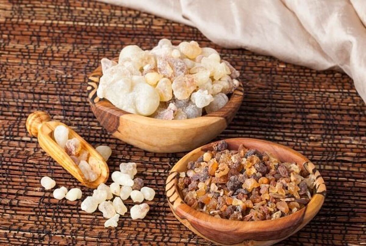 پیشگیری از ناباروری مردان با مصرف کندر
