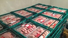 ۱۸۰۰ کیلوگرم گوشت مرغ غیربهداشتی در زنجان معدوم شد
