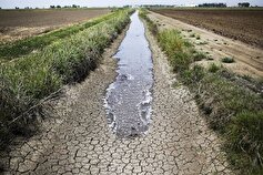 وابستگی ۹۰ درصدی اراضی کشاورزی فنوج به آب قنوات