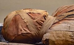 باز کردن تابوتی ۲۰۰۰ ساله در «مقبره سربروس» تاریخی در ناپل!