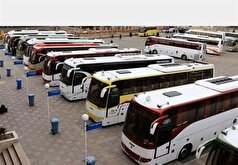 تعیین ۳۰۰ اتوبوس برای انتقال زائران اربعین از بوشهر