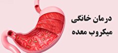 روش‌های خانگی و کم هزینه برای درمان میکروب معده + مواد غذایی مفید