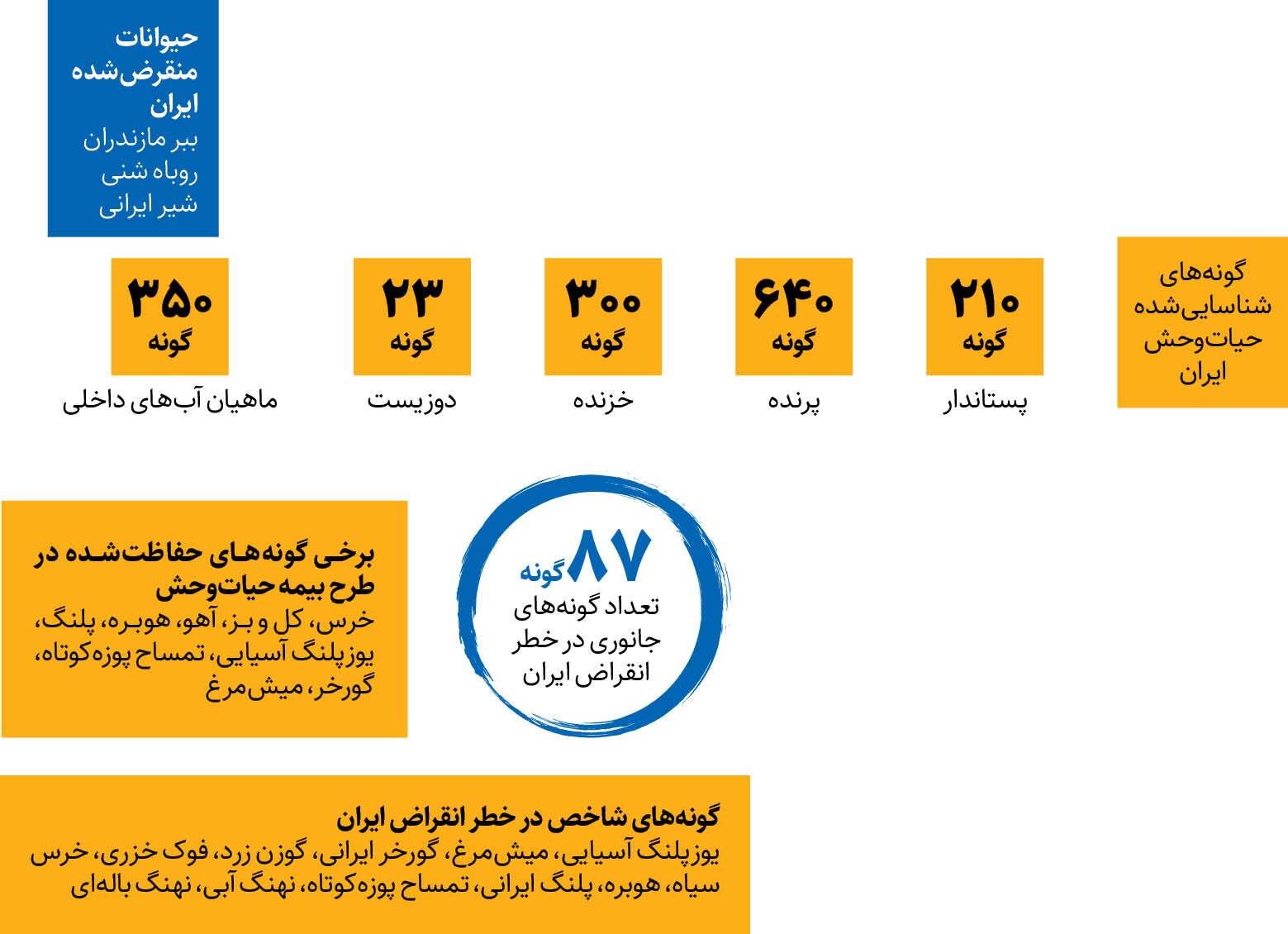 بیمه به سراغ خرس و پلنگ می‌رود!