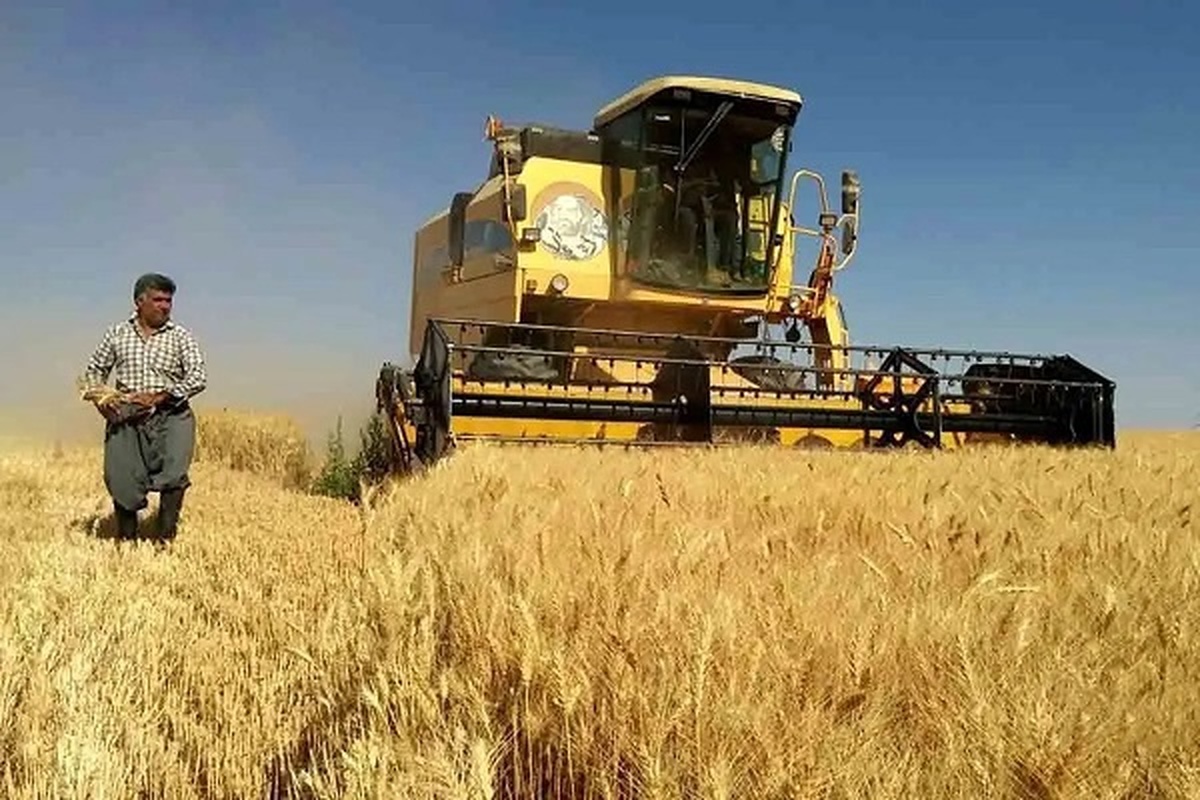 پرداخت بیش از ۱۰۴ هزار میلیارد ریال از مطالبات گندمکاران کردستان