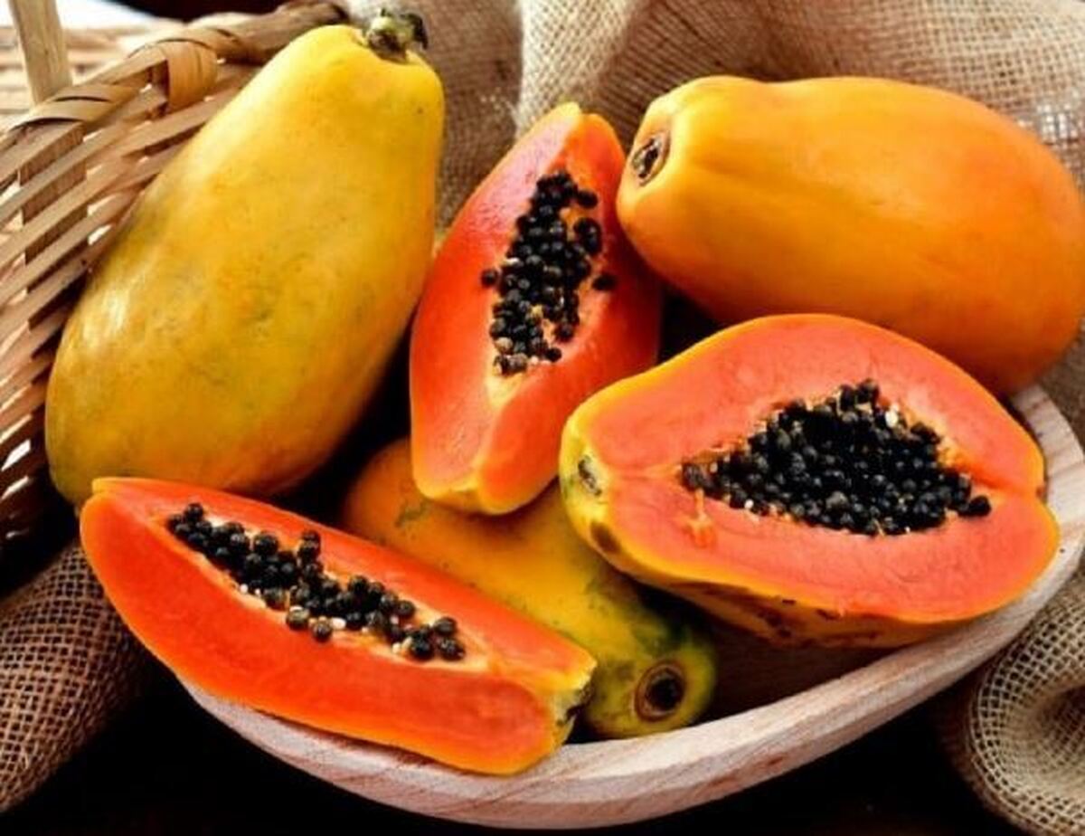 میوه پاپایا یک آنتی اکسیدان قوی با خواص ضد سرطانی