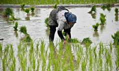 این قشر از جامعه هشدار‌های هواشناسی در سه روز آینده را جدی بگیرند