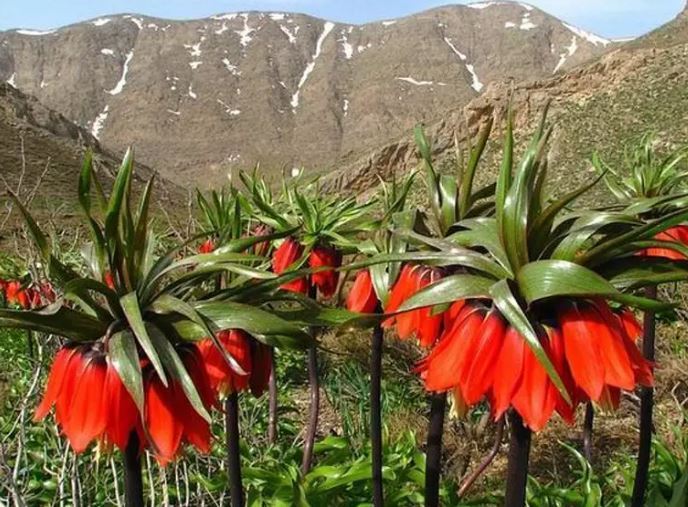 آبشار شیخ علیخان، جاذبه‌ای گردشگری در نزدیکی شهرکرد