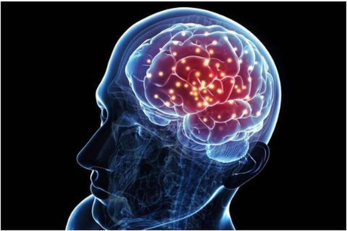 بررسی رابطه بین کاهش وزن و عملکرد مغز