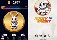 کارت‌های روزانه راکی رابیت Rocky Rabbit امروز ۲۷ شهریور سه شنبه