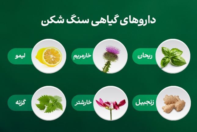 بهترین دارو‌های گیاهی برای نیست و نابود کردن سنگ کلیه