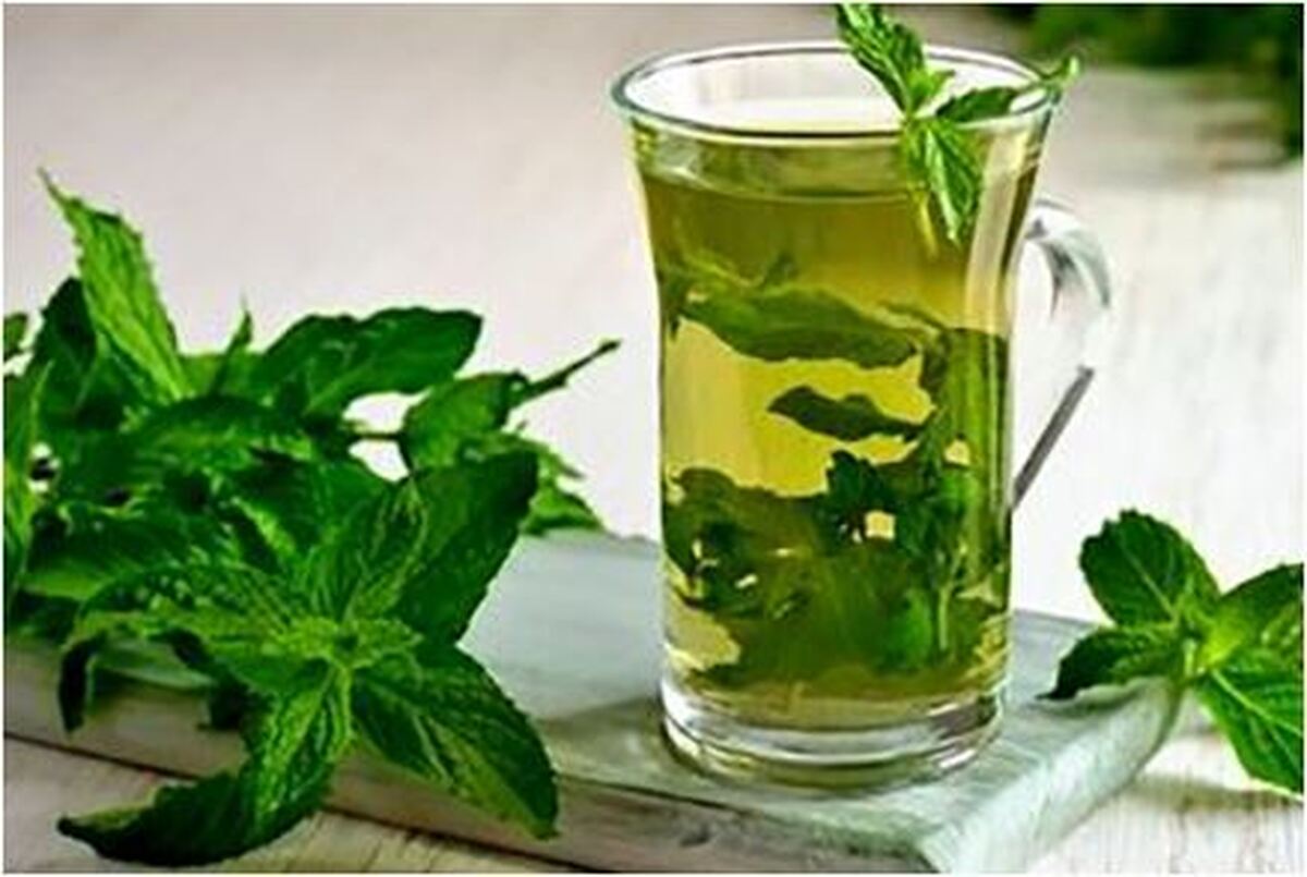 چگونه با «عرق نعنا» رفلاکس معده را درمان کنیم؟ /طریقه مصرف