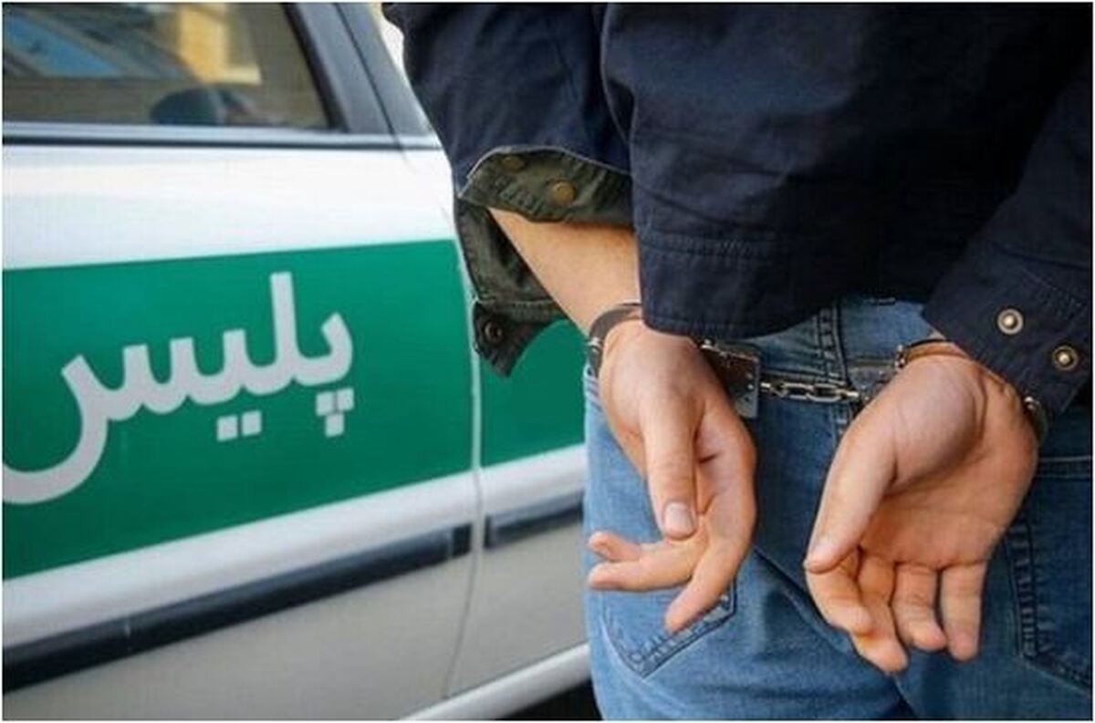شرور سابقه‌دار در جعفرآبادمغان دستگیر شد