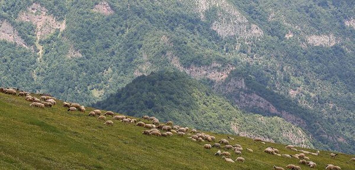تداوم گرمای هوا تا پایان هفته/ دریا برای شنا نامناسب است