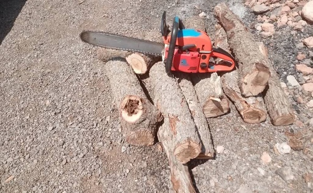 کشف و ضبط شبانه اره موتوری از عامل قطع بلوط در دنا