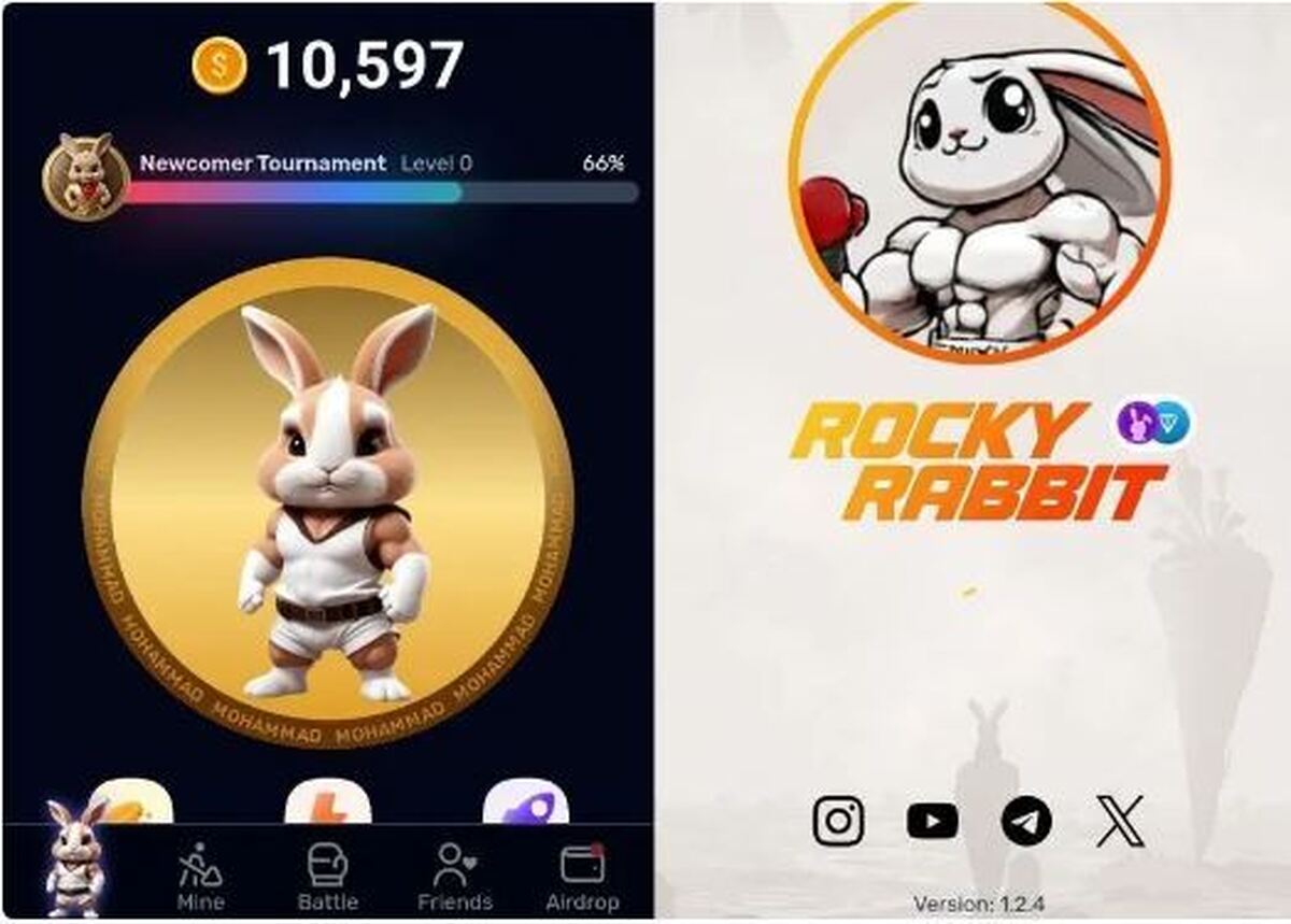 کارت‌های روزانه راکی رابیت Rocky Rabbit امروز ۶ شهریور سه شنبه