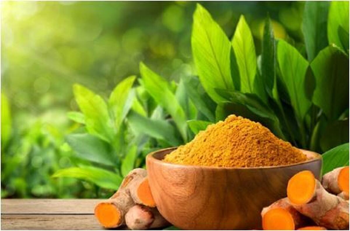 آشنایی با ۵ خاصیت باورنکردنی زردچوبه