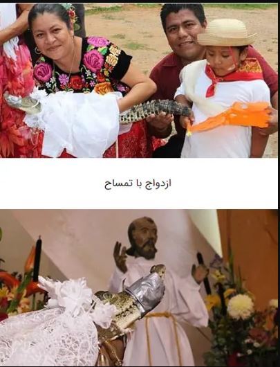 در مکزیک برای افزایش رزق و روزی با تمساح ازدواج می‌کنند! +عکس