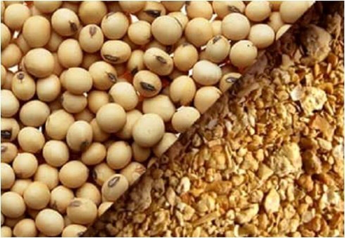با مصرف سویا، نیمی از مواد معدنی مورد نیاز و ویتامین‌های بدنتان را تامین کنید