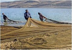 اشتغال حدود ۳ هزار نفر در صنعت شیلات و پرورش آبزیان آذربایجان‌غربی