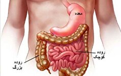 اختلال در ساعت بیولوژیکی بدن این سرطان را تسریع می‌بخشد!