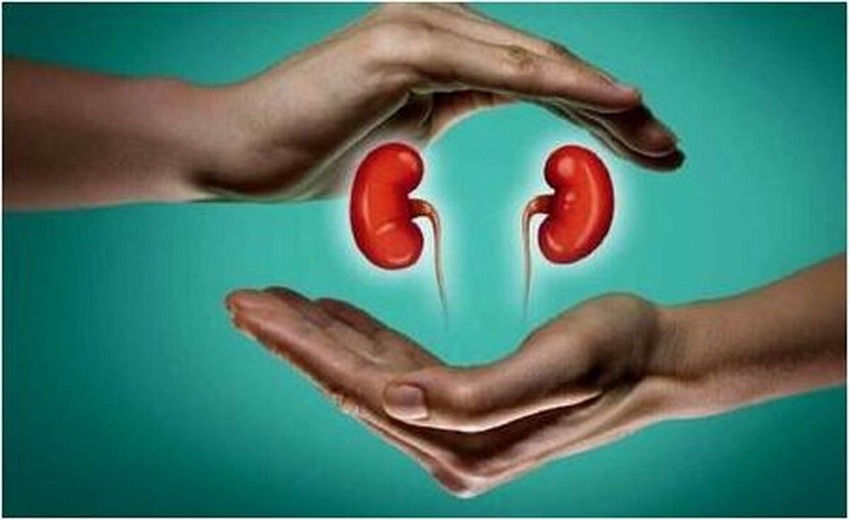 تاثیر مصرف آبلیمو بر سلامت کلیه‌ها