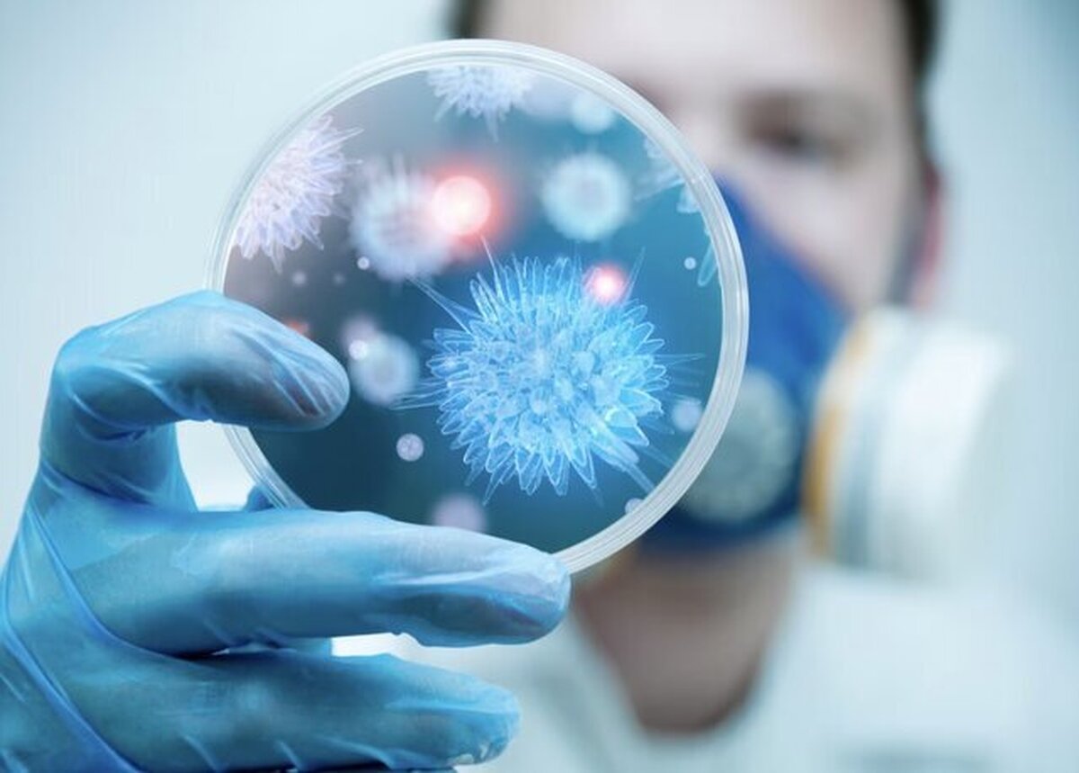 اولین موجودات زیستی روی زمین چه بودند؟