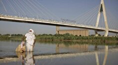 راه‌یابی اثر هنرمند خوزستانی به جشنواره چندرسانه‌ای میراث فرهنگی