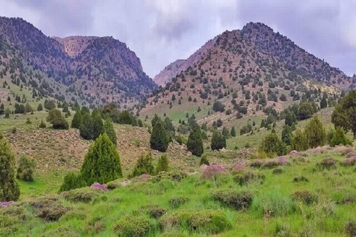 چرا سیزدهمین ذخیره گاه زیست کره از اهمیت بالایی برخوردار است؟