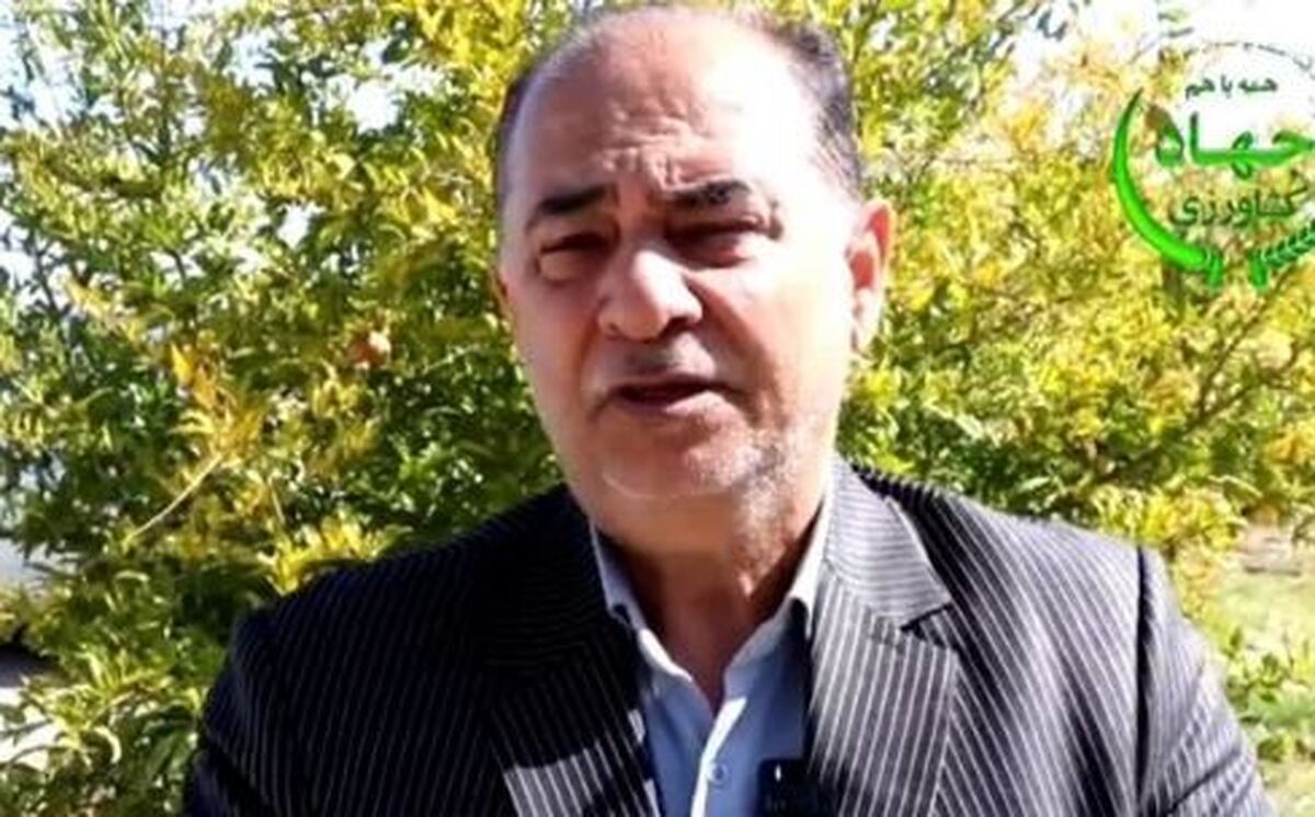برنامه‌ریزی کشت ٦ میلیون هکتار گندم در کشور