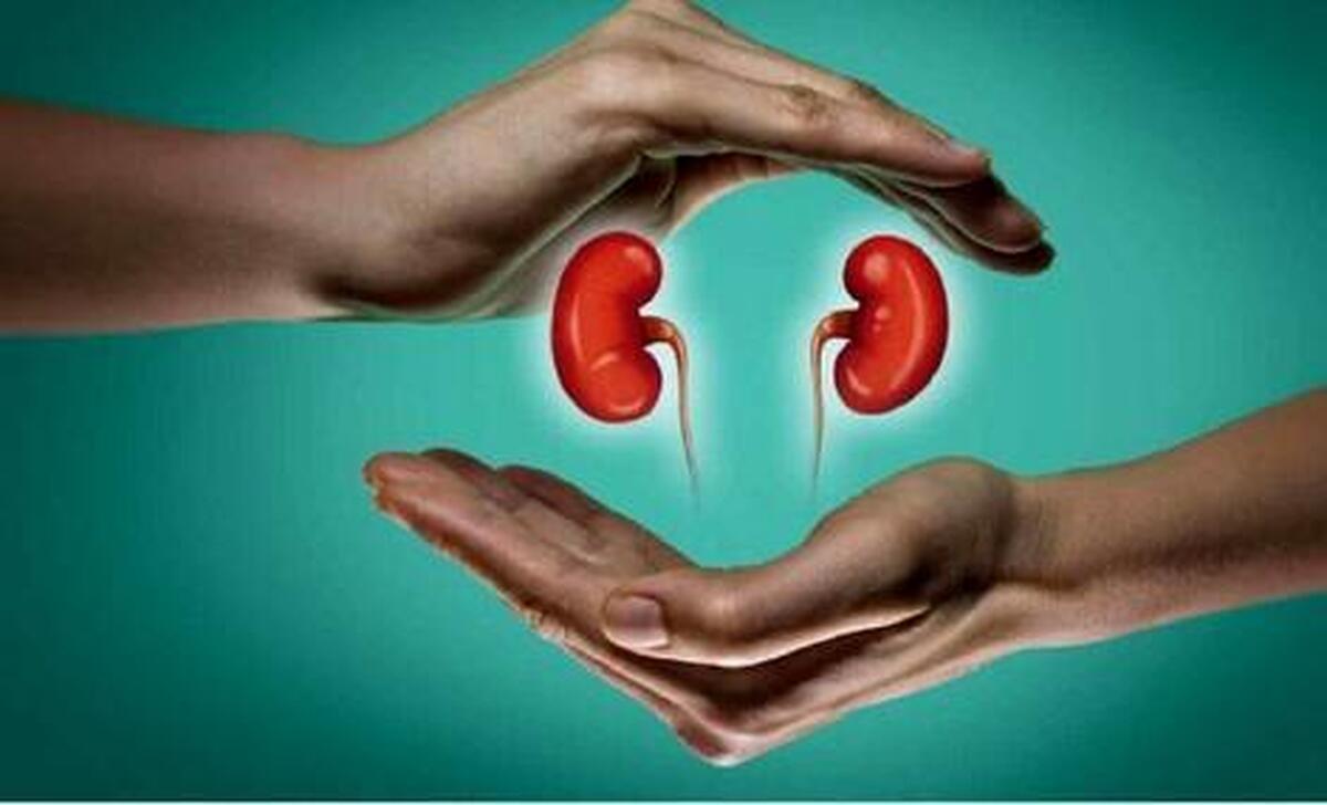 آیا مصرف زیاد آبلیمو برای کلیه‌ها ضرر دارد؟