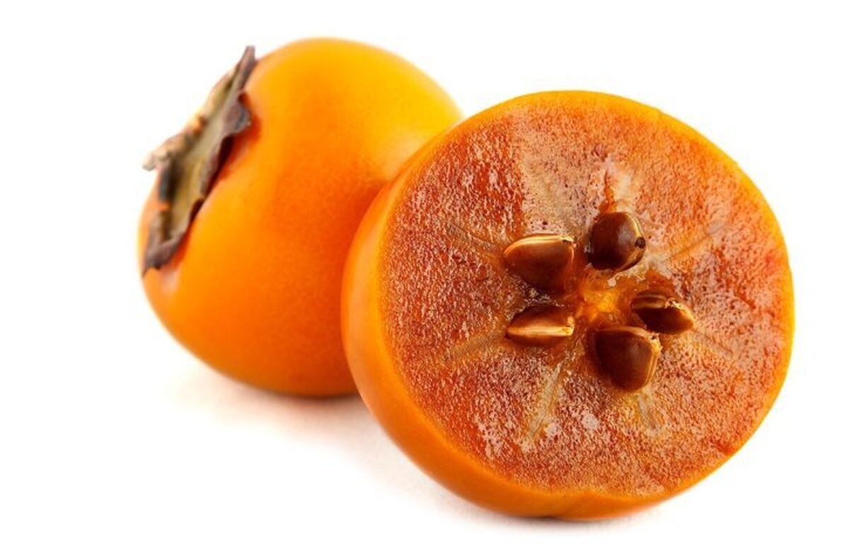 روش کاشت و آماده سازی هسته خرمالو برای جوانه زدن چیست؟ + نکات
