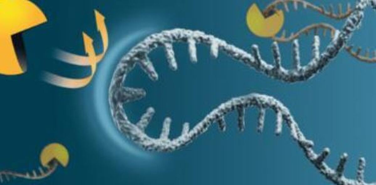 استراتژی جدید برای افزایش عمر mRNA که در درمان سرطان موثر است!