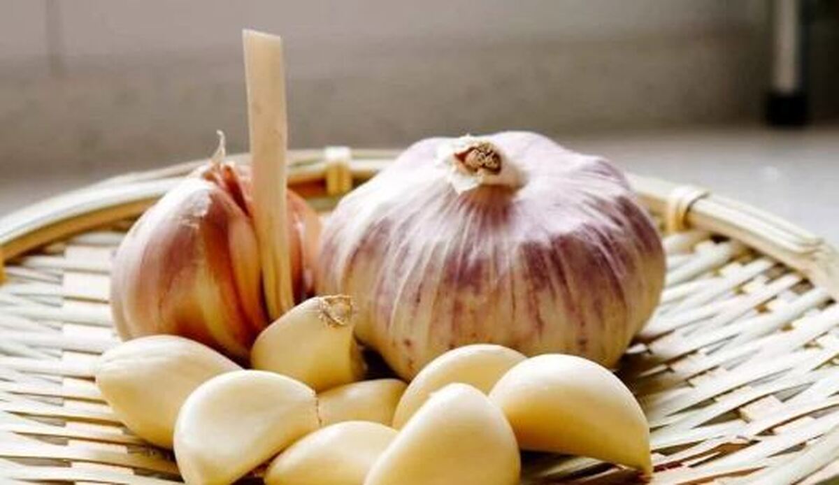 با از یاد نبردن حبه‌های کوچک سیر برای همیشه جوان بمانید