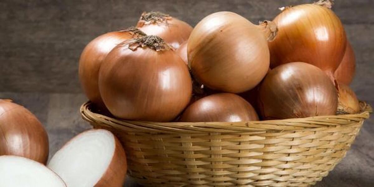 فواید بی شمار پیاز از درمان اختلالات گوارشی تا بیماری‌های عفونی