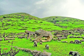 انقزاض هم به سراغ «شیر سنگی»‌ها آمد؟!