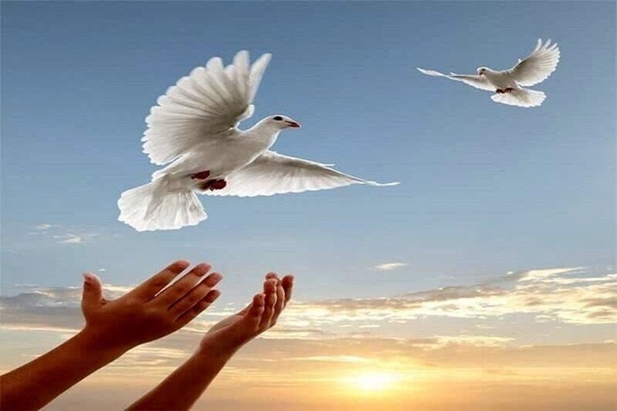 بخشش جوان چالوسی محکوم به قصاص پای چوبه دار