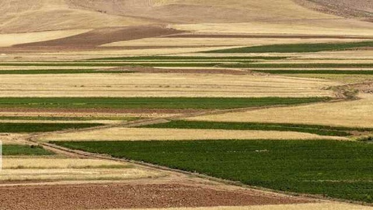 کرمانشاه در حدنگاری اراضی کشاورزی رتبه نخست کشوری را کسب کرد