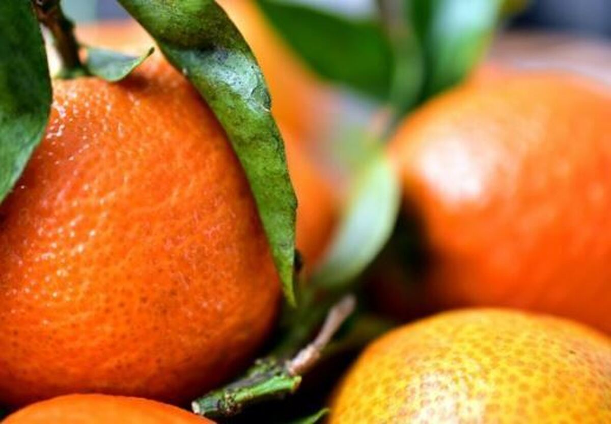 چرا زنان بیشتر درگیر سلولیت هستند؟