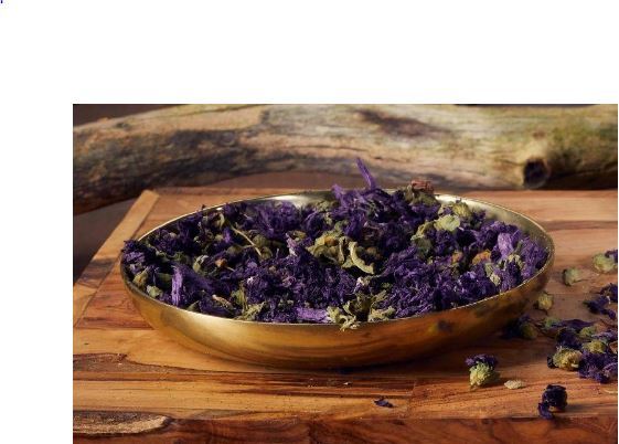 اگر سرفه و گلو درد امانتان را بریده گیاه پنیرک استفاده کنید