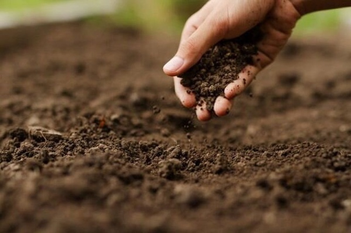 خاک ۱۸ میلیون هکتار زمین کشاورزی صاحب آمار می‌شود
