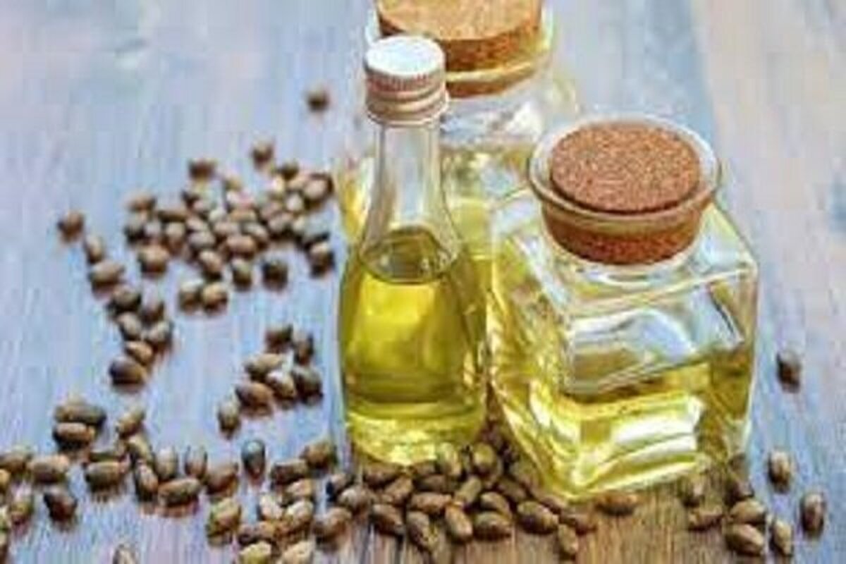 میتوان با روغن کرچک به لاغری رسید؟