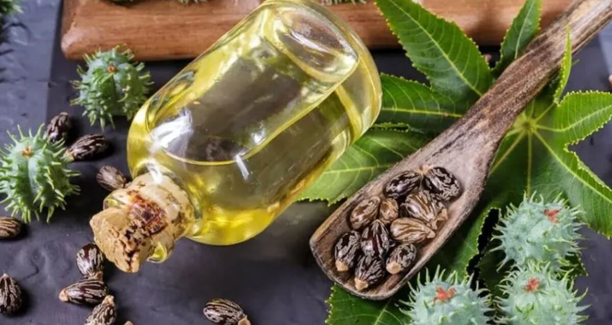 با کمک این روغن معجزه آسا به وزن دلخواهتان برسید