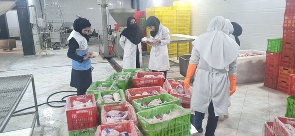 ضبط و معدومی بیش از ۶۰۰ کیلوگرم چربی صنعتی غیر بهداشتی
