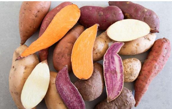 همه چیز درمورد فواید و ارزش غذایی سیب زمینی شیرین و تفاوت آن با سیب زمینی سفید