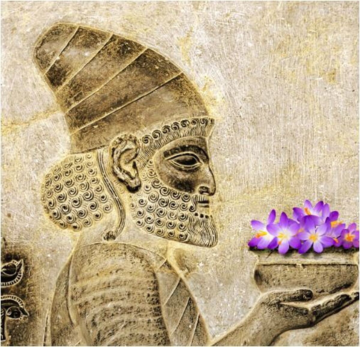 هدیه‌ای از ایزدان در غالب یک گیاه