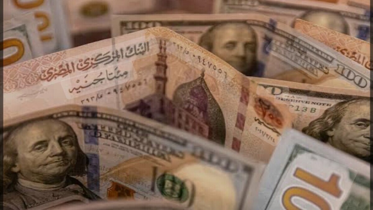چرا دلار در مصر به سطح تاریخی رسید و آیا به افزایش خود ادامه خواهد داد؟