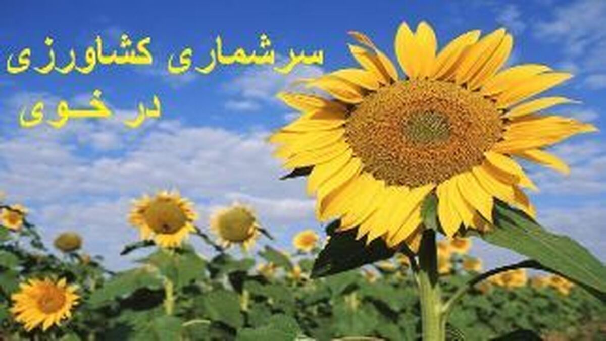 پیشرفت کاری سرشماری کشاورزی در خوی به ۷۳ درصد رسید