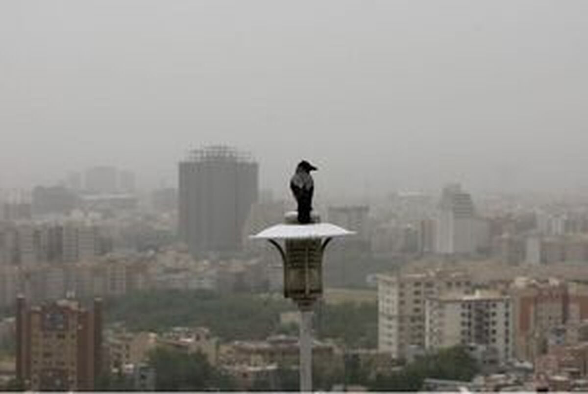 در آلودگی هوا اصول خودمراقبتی را جدی بگیرید